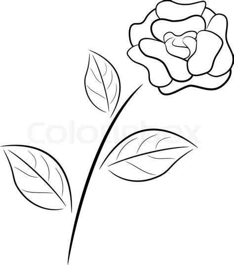 Rose Border Clipart | Free download on ClipArtMag