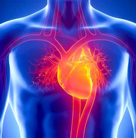 Acupuncture Found Effective For Angina Pectoris Relief