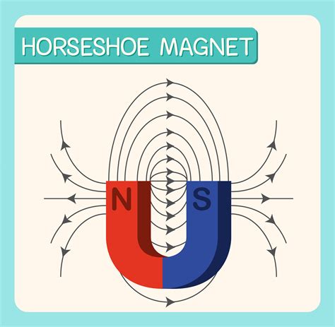 Horseshoe magnet diagram for education 1762104 Vector Art at Vecteezy