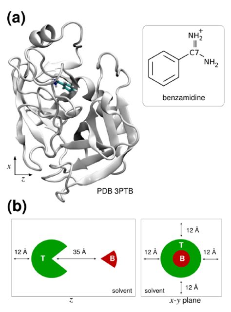 A Crystallographic Bound Structure Of Benzamidine And Trypsin Pdb