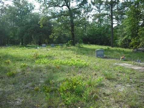 Springfield Cemetery dans Georgia Cimetière Find a Grave