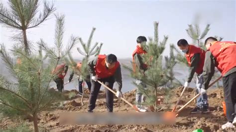 河南新安：黄河生态廊道植树造林“忙”凤凰网视频凤凰网