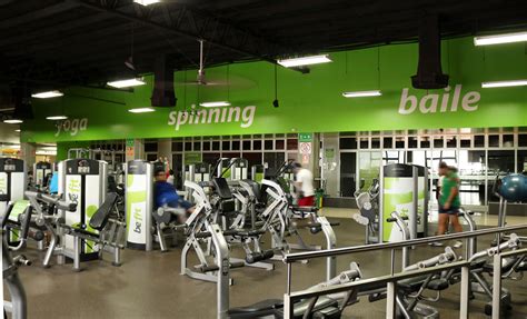 fit  estudio