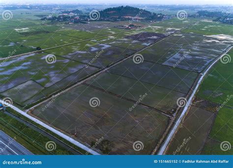 Sunrise with the View of Paddy Field and Expressway Stock Photo - Image ...