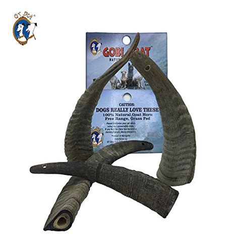 Best Goat Horns For Dogs