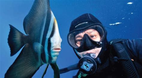 Sunlover Reef Cruises Dive Into The Great Barrier Reef Adventure