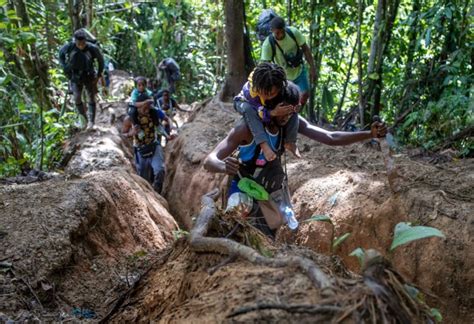 Cómo se preparan los migrantes para cruzar la selva del Darién