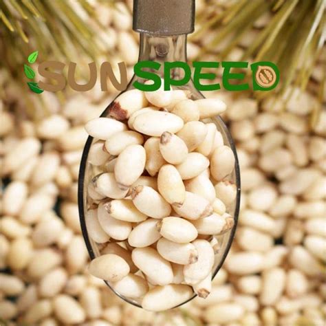 Dry Pine Nuts Without Shell Price Edible Kernel Pine Nuts Blended And