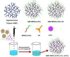 Hyperbranched Polymer Based Nanoparticle Drug Delivery Platform For The