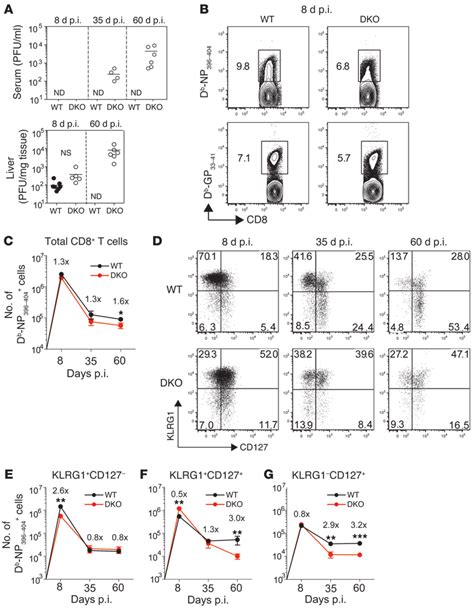 Stim And Stim In T Cells Control Immunity To Acute Lcmv Infection And