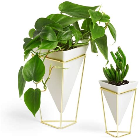 9 Awesome Inexpensive Planters On Amazon Apartment Therapy