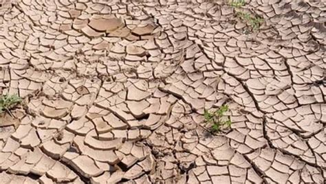 कम बारिश के कारण यूपी बिहार और झारखंड में सूखे का संकट Drought