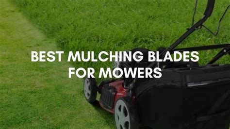 7 Best Mulching Blades For Mowers Gardenoz