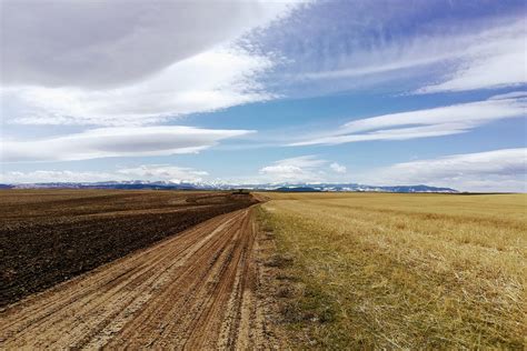 2019 Montana Agriculture Year In Review Mtpr