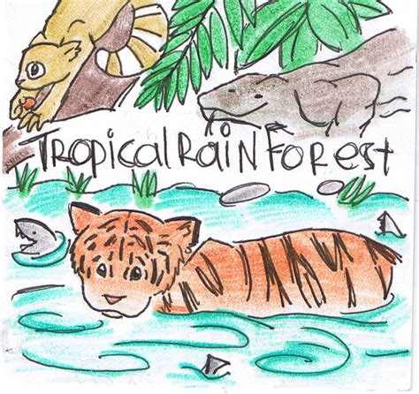 Tropical Rainforest Drawing at GetDrawings | Free download