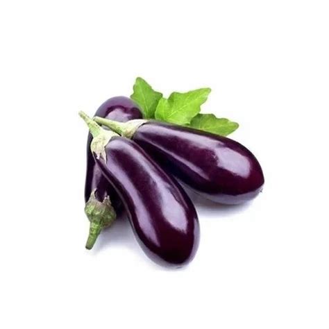 Brinjal In Chittoor Latest Price Mandi Rates From Dealers In Chittoor