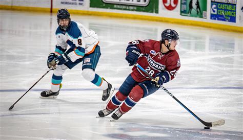 NAHL Weekend Wrap: Kenai River Brown Bears trend up, Anchorage ...