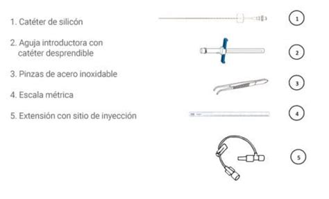 Picc Cat Ter Venoso Central De Inserci N Perif Rica Eb Picc Ebime