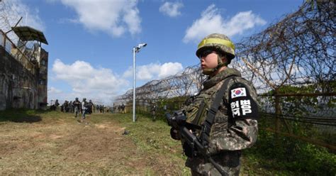 철원 Dmz 화살머리고지 지뢰제거 현장유해 발견 즉시 수습