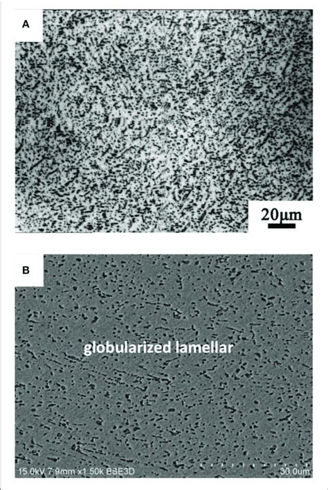 The Microstructure Of The Ti Al Nb Mo Fe Alloys