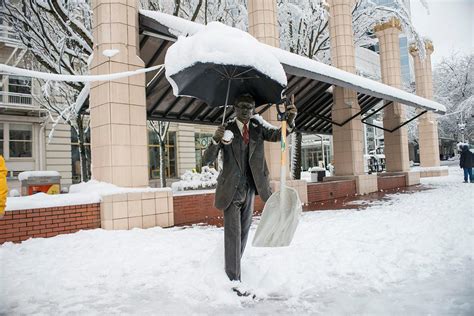 Snowlandia: Scenes of Portland's surprise snow day | KATU