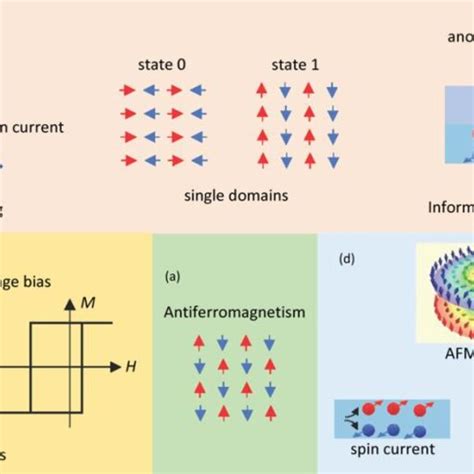 A Schematic Depiction Of An Antiferromagnetic Order B Interplay Of