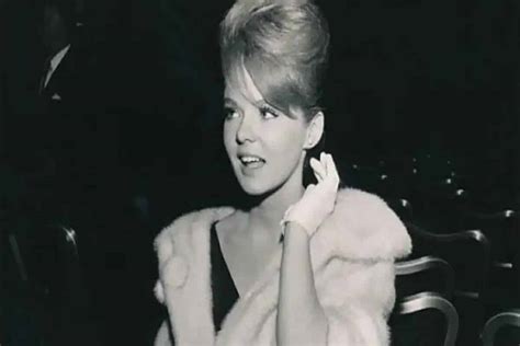 Joey Heatherton Net Worth Salary Age Height Bio Career Wiki Hot Sex Picture