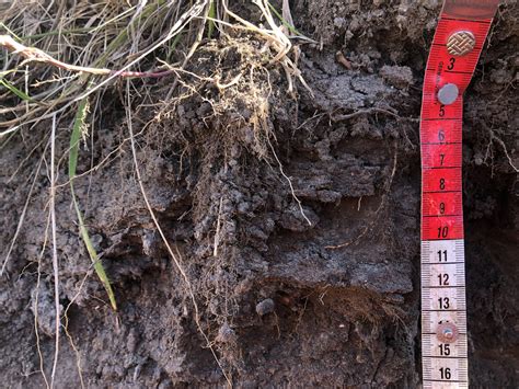 Prismatic Soil Structure