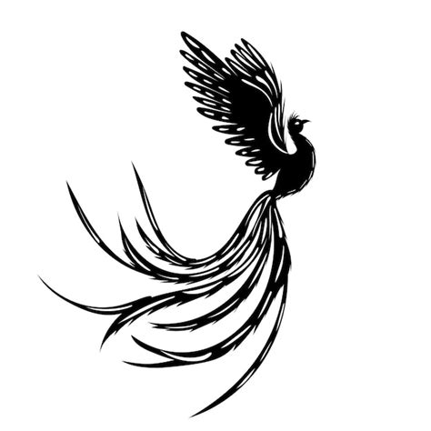 Premium Vector Silhouette Black Phoenix Bird Isolated Vector