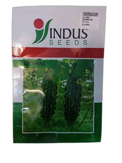 Hybrid Indus Karela Seeds, Packaging Type: Packet, Packaging Size: 10g ...