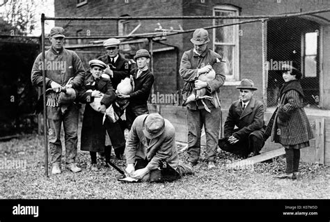 Children and adults holding Canada Geese in America Stock Photo - Alamy