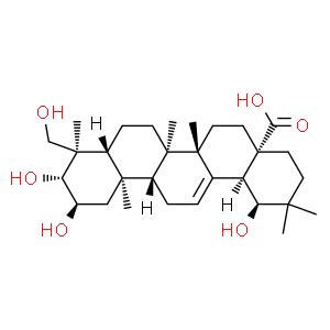 2 alpha 19 alpha 23 三羟基齐墩果酸 CAS 58880 25 4 四川恒诚致远生物科技有限公司