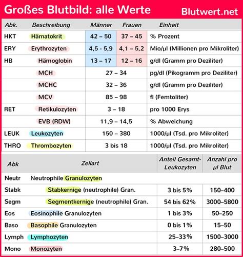 Blutwerte verstehen Laborwerte einfach erklärt Laborwerte Anatomie