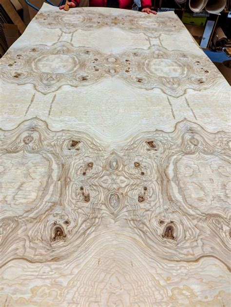 Olive Ash Burl Wood Veneer Sheet With Paper Backer