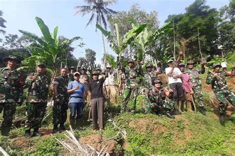 Peduli Hutan TNI AD Kerahkan Pasukan Untuk Tanam 1 000 Pohon Di