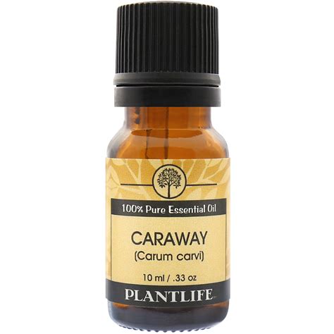 Caraway Essential Oil 100 Pure Essential Oils Plantlife