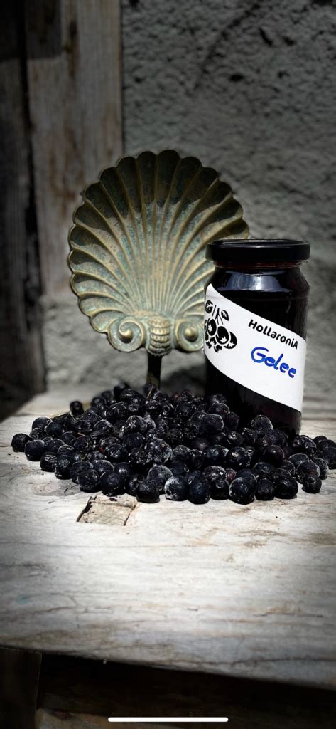 Aronia Gelee G