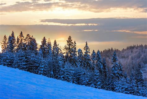 Premium Photo Winter Ukrainian Carpathian Mountains Landscape