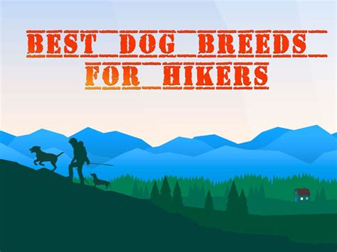 Hiking Guide: Best Dog Breeds for Hikers (Infographic) - Auden Johnson