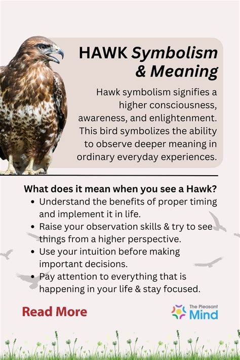 Hawk Symbolism The Spiritual Meanings Of Seeing A Hawk Artofit