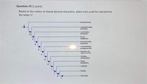 Solved Based on the notion of shared derived characters, | Chegg.com