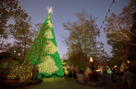 Secrets Behind The NEW 80-Foot-Tall Christmas Tree at Silver Dollar ...