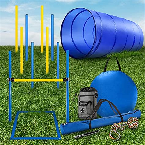 15 Best Dog Agility Equipment Kits in 2020 (For Beginners and Advanced)