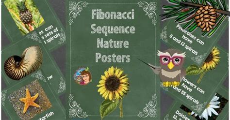 Fibonacci Sequence Nature Letter Size Posters • Wise Owl Factory