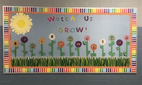 Watch Us Grow Bulletin Board With Sunflowers