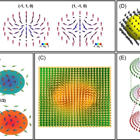 A Schematic Of How Skyrmions Can Be Visualized By LTEM Reproduced