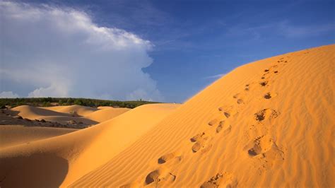 Mui Ne Sand Dunes In Phan Thiet Expedia