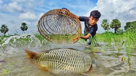 Amazing Polo Fish Trap Asian Traditional Boy Hunting Fish By