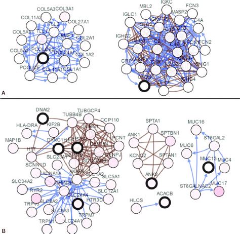 Interaction Network And Biological Process Analysis Of The Hub Genes