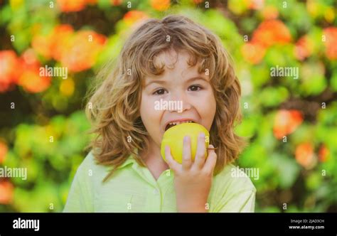 Niño Pequeño Lindo Comiendo Manzana Verde Retrato Del Niño Comiendo Y